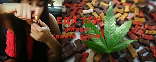 прущие грибы Абаза