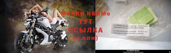 прущие грибы Куйбышев