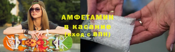 прущие грибы Куйбышев