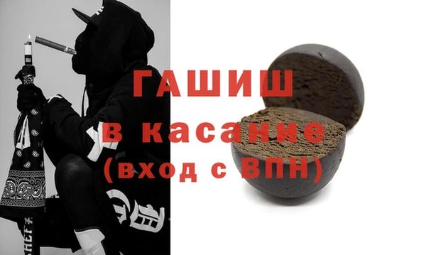прущие грибы Абаза