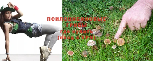 бошки Абдулино