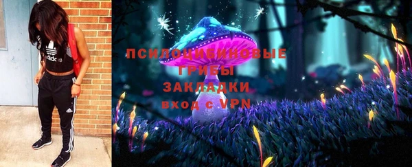 прущие грибы Абаза