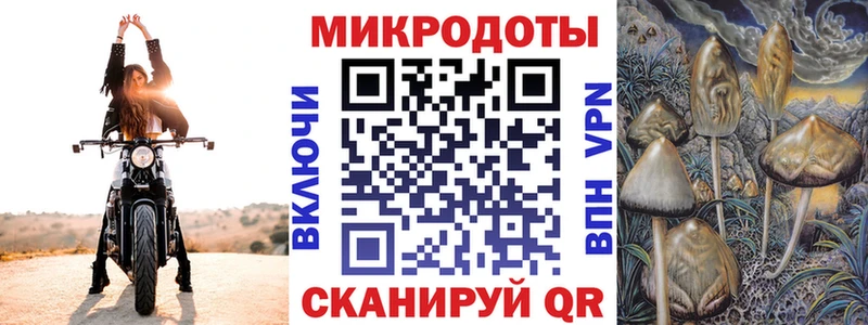 как найти   Грозный  Галлюциногенные грибы мухоморы 
